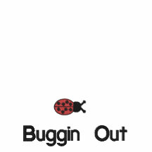 Buggin hacia fuera