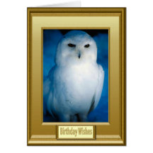 Búho blanco capítulo felicitacion 