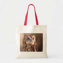 Búho Bolsa