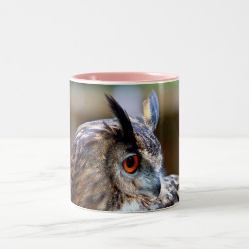 Búho de Eagle del eurasiático Tazas