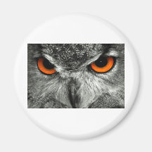 Búho de Eagle del europeo Imanes De Nevera