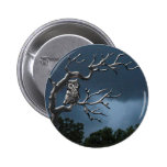 Búho fantasmagórico pins