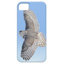 Búho Nevado iPhone 5 Case-Mate Carcasas