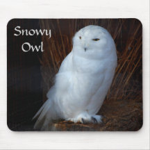 Búho Nevado - mousepad Alfombrilla De Raton