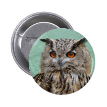 BÚHO PINS