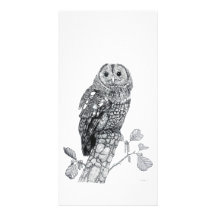 Búho rojizo - tarjeta de la foto tarjetas personales con fotos