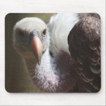 Buitre de Griffon ..... alfombrillas de raton 