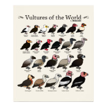 Buitres del mundo por Birdorable posters