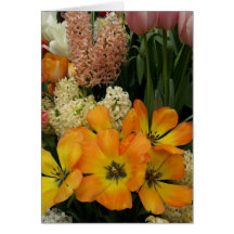 Bulbos hermosos felicitacion 