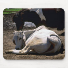 Bull asiática alfombrilla de raton