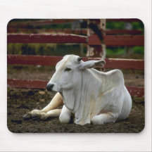 Bull asiática tapete de raton