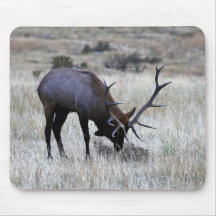 Bull Elk6 Tapetes De Ratones