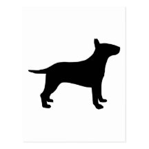 Bull terrier postal