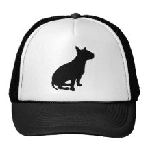 Bull terrier que se sienta gorro