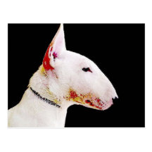 Bull terrier tarjetas postales