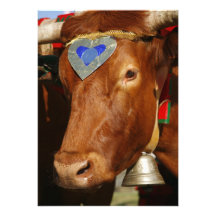 Bull y campana invitacion personalizada