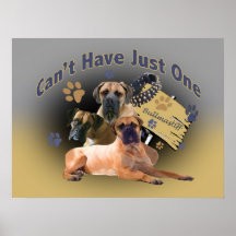 Bullmastiff no puede tener apenas un poster