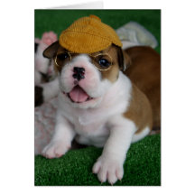 BullyBreeze - frialdad - de Chillin tarjeta de fel