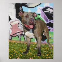 bullyshow07 posters