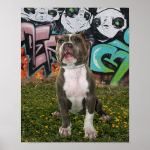 bullyshow10 posters