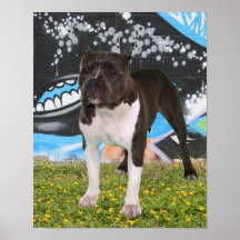 bullyshow21 posters