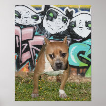 bullyshow24 impresiones
