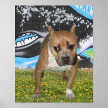 bullyshow26 poster