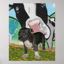 bullyshow31 posters