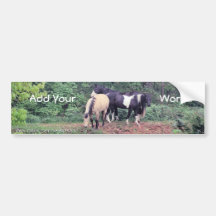 BumperSticker-personalizar de los caballos Etiqueta De Parachoque