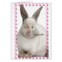 Bunny.jpg Felicitacion