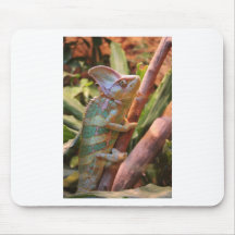 buntes Chamäleon Mousepad