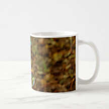 Burbujas en un día de la caída taza de café