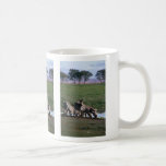 Burchell/las cebras de Grant - consumición de la m Taza De Café