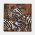 Burchelli del Equus de Burchell de la cebra Imán Para Frigorifico