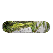 Burren planta rocas de la piedra caliza patin personalizado