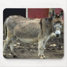 Burro Alfombrillas De Ratón