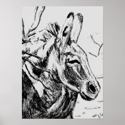 Burro de Oatman, Oatman, AZ de Lessandra Grimley Impresiones