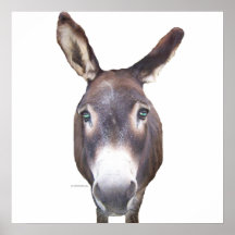 Burro en su impresión del poster de la cara