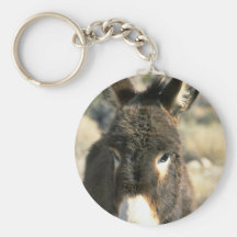 Burro masculino llavero