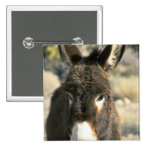 Burro masculino pins