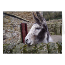 Burro Nosey Tarjetón