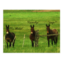Burro Postales