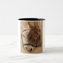 Burros Taza