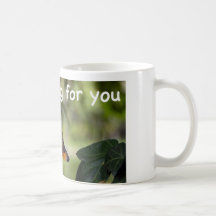 buscarle tazas de café