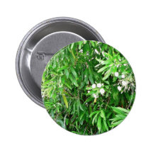 Bush verde con las flores blancas pins