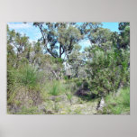 Bushland Poster