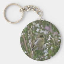 Bushtit Llavero