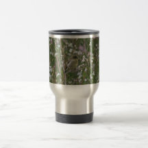 Bushtit Taza De Café