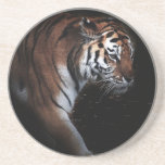 Búsqueda de los tigres posavasos para bebidas