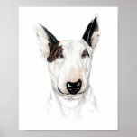 Busto de bull terrier poster